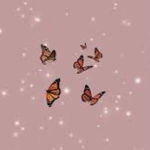 Meet your Posher, Joselynn